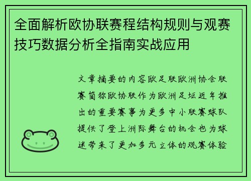 全面解析欧协联赛程结构规则与观赛技巧数据分析全指南实战应用